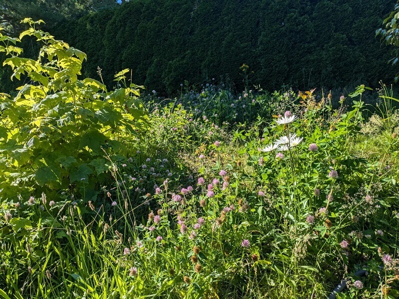 "Bugs with habitat, as nature intended."