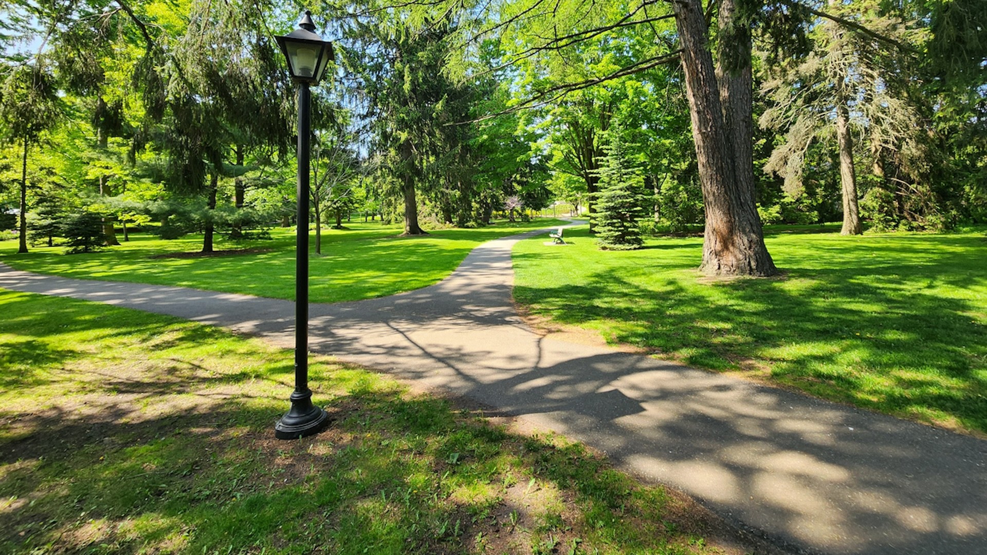 "I hope that this is a lawn with the official status of a meadow lawn which by law cannot be mowed."