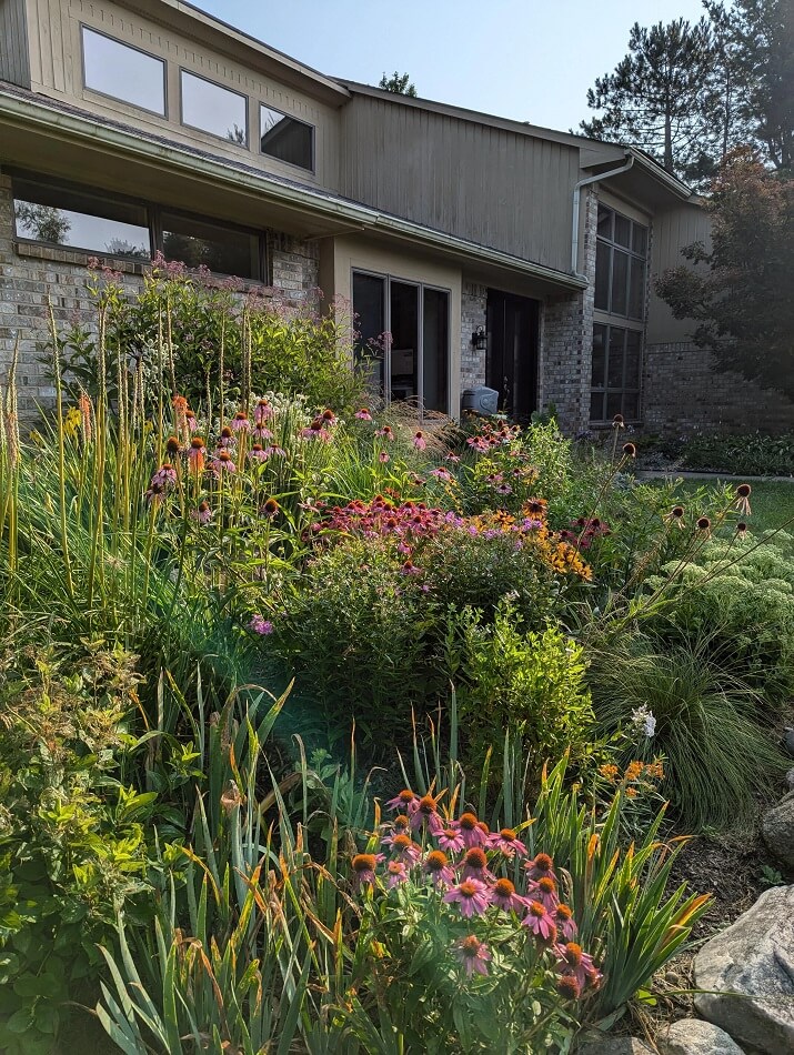 Turning lawns into native plant galleries is not only beautiful — these species require less oversight than traditional garden plants too.