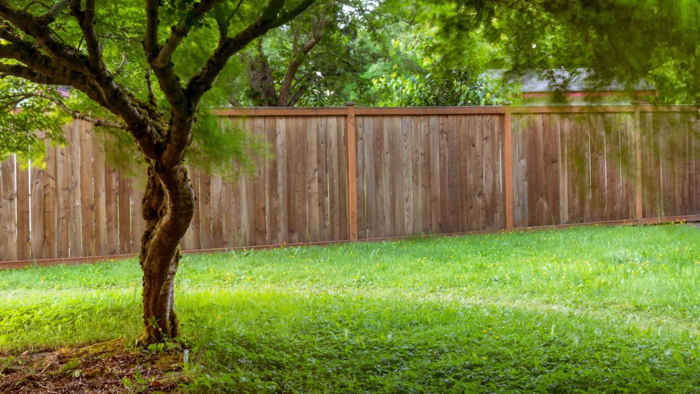 "Year two in the shade garden, worth the wait."