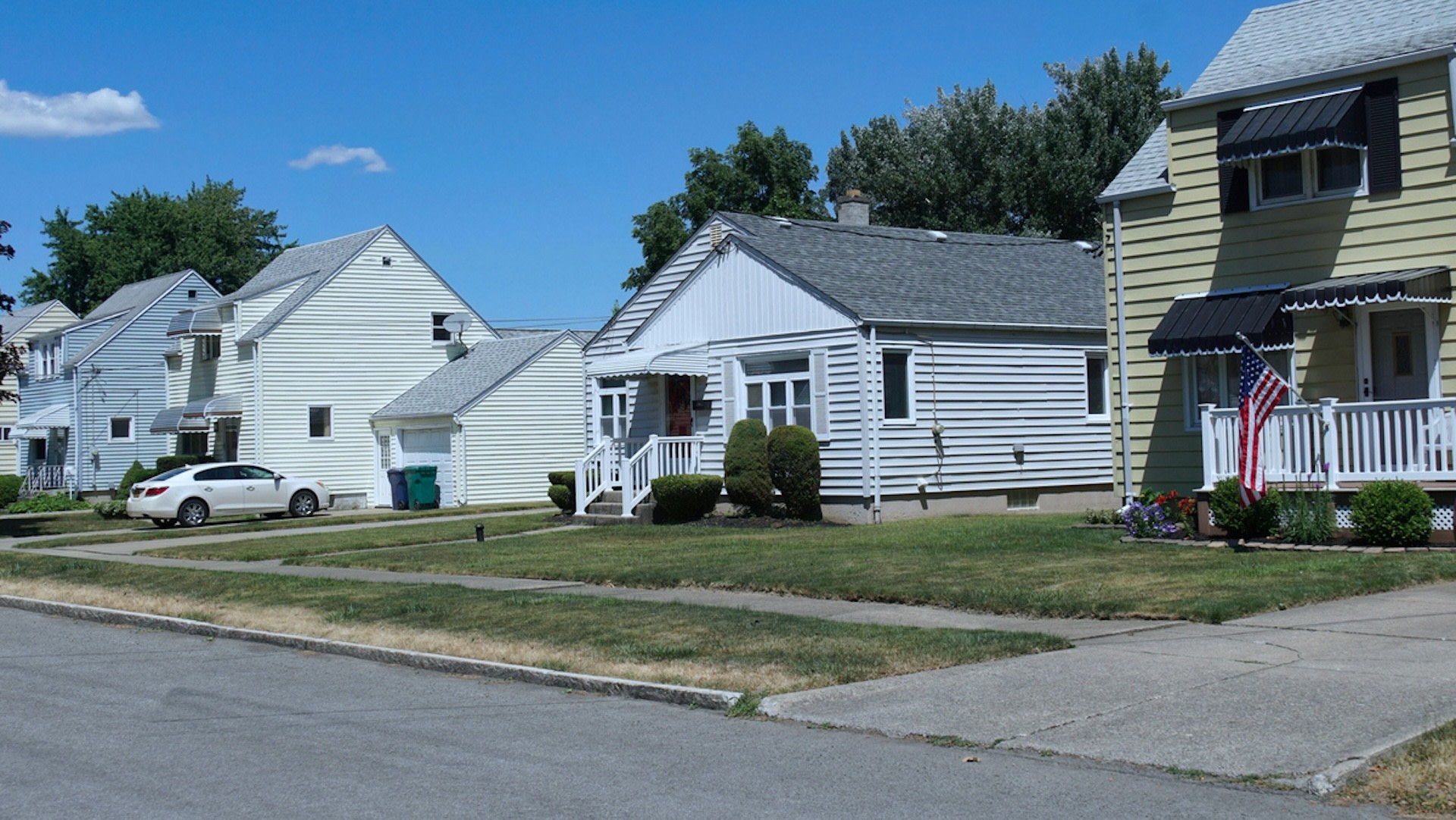 Switching to a native plant lawn can bring numerous benefits for homeowners and the environment.