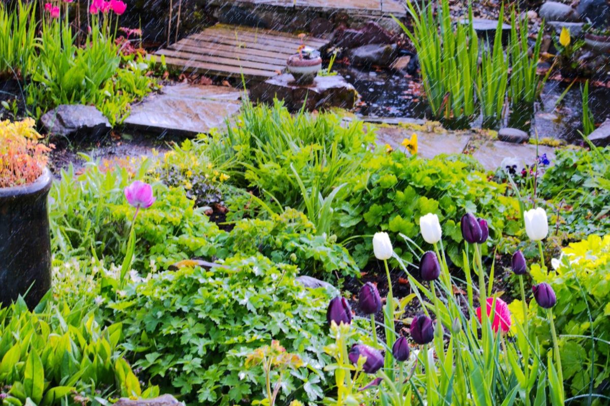 "Looks like a good foundation for native plant protection."