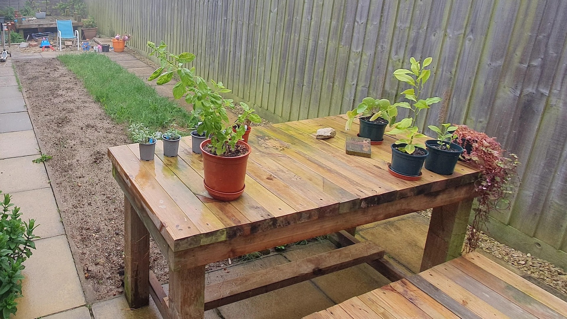 Proud homeowner shares before and after photos after ripping out his traditional lawn: ‘No regrets’