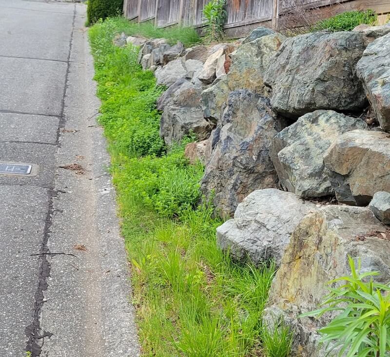 "New neighbor cut down my wildflower garden on my yard."