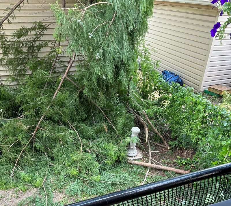 "My landlord is pressing charges and the police came by today."