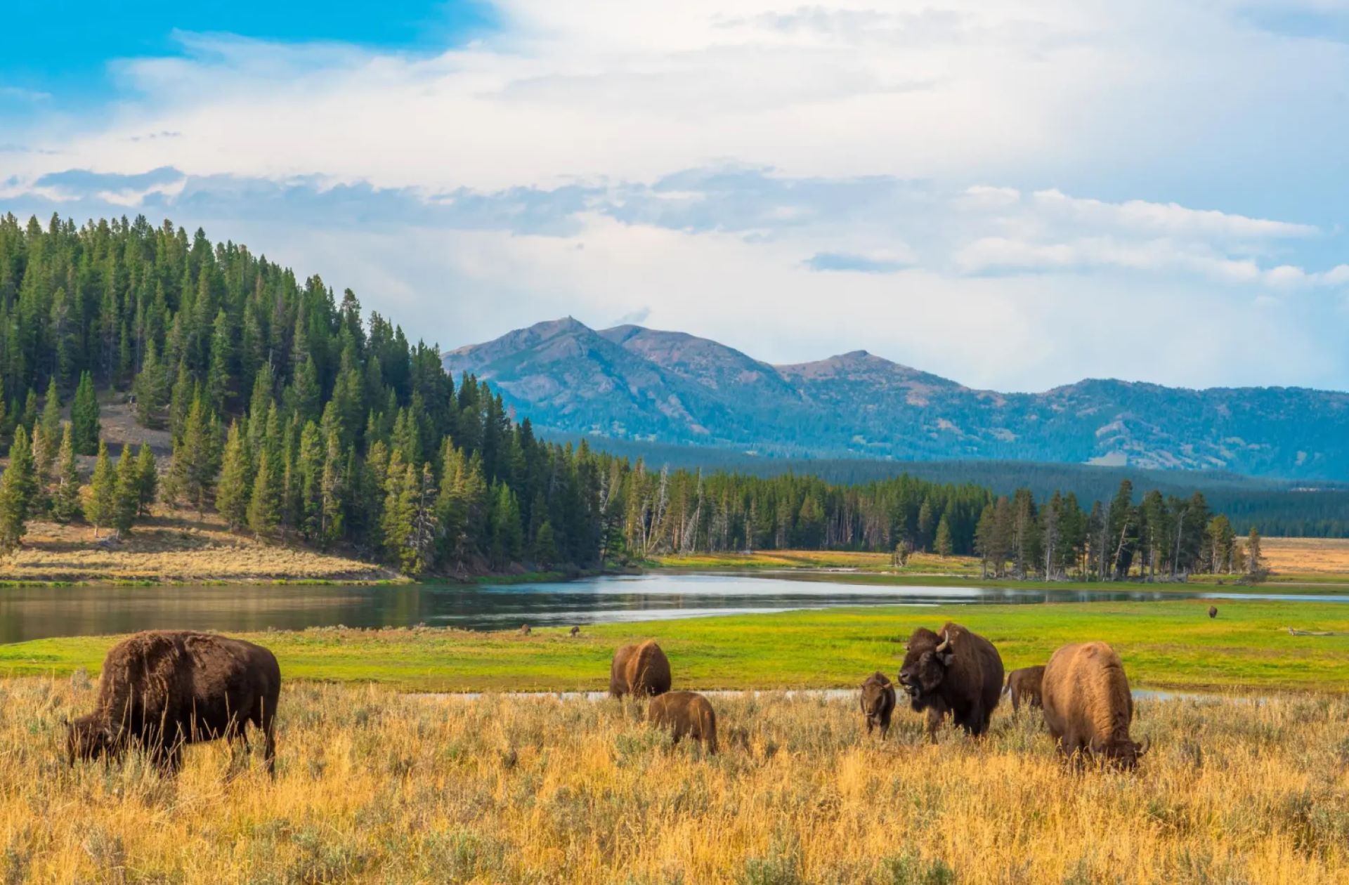 "By uniting our efforts, we are ... fostering ecological and cultural renewal."