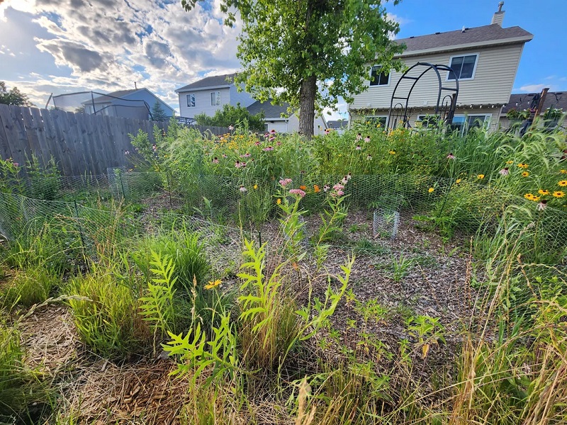 This native plant garden is blooming with colorful flowers and tall grasses.