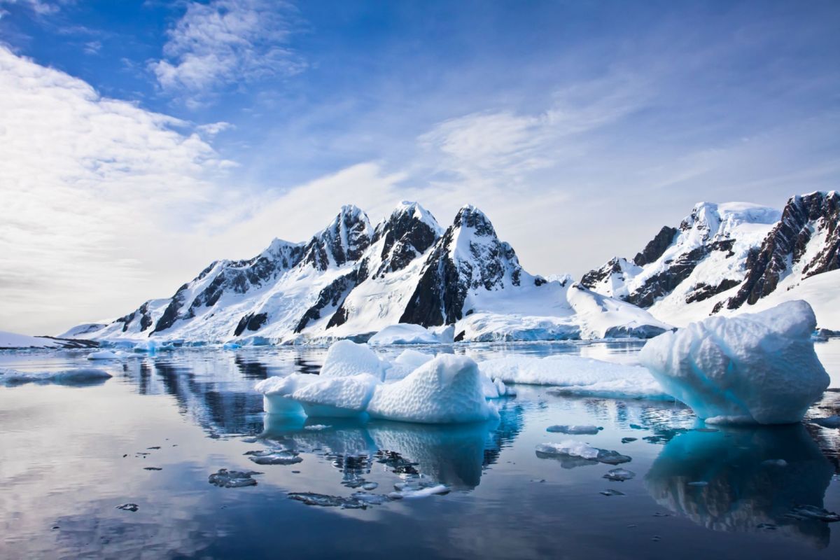 Ice once acted as a barrier, but now arriving debris — and the marine life on it — can reach the shore.