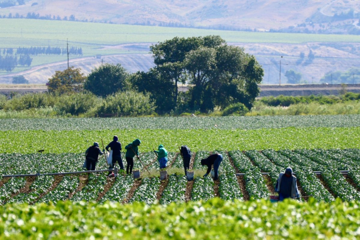 We just need Cal/OSHA to be out there more often and do more inspections that hopefully will save farmworker lives