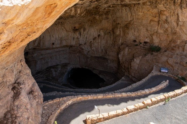 The park noted that the cave's humidity softened the processed corn, which became a host to microbial life and fungi.