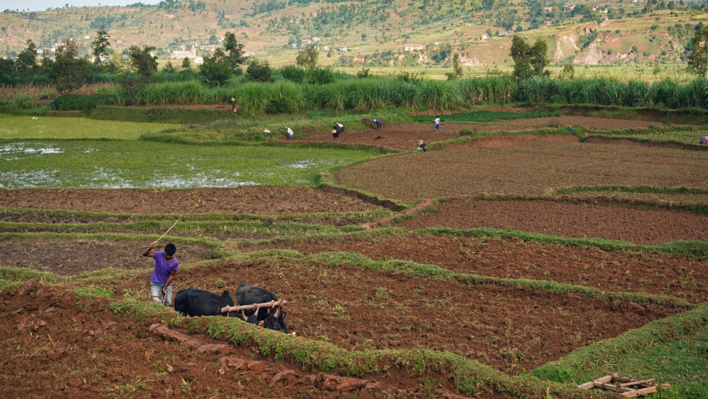 The overheating has caused shifting climate conditions and unpredictable extreme weather events, which have combined to make some regions inhospitable to crops that traditionally grow there.