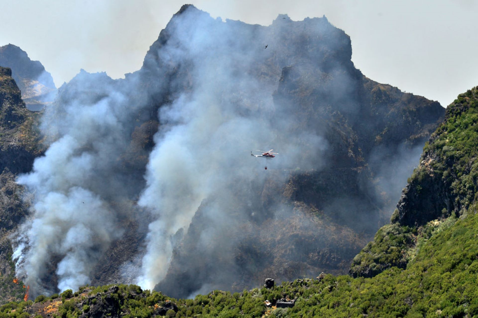 After nearly two weeks, authorities on the island said firefighters had finally brought the large forest fire under control.