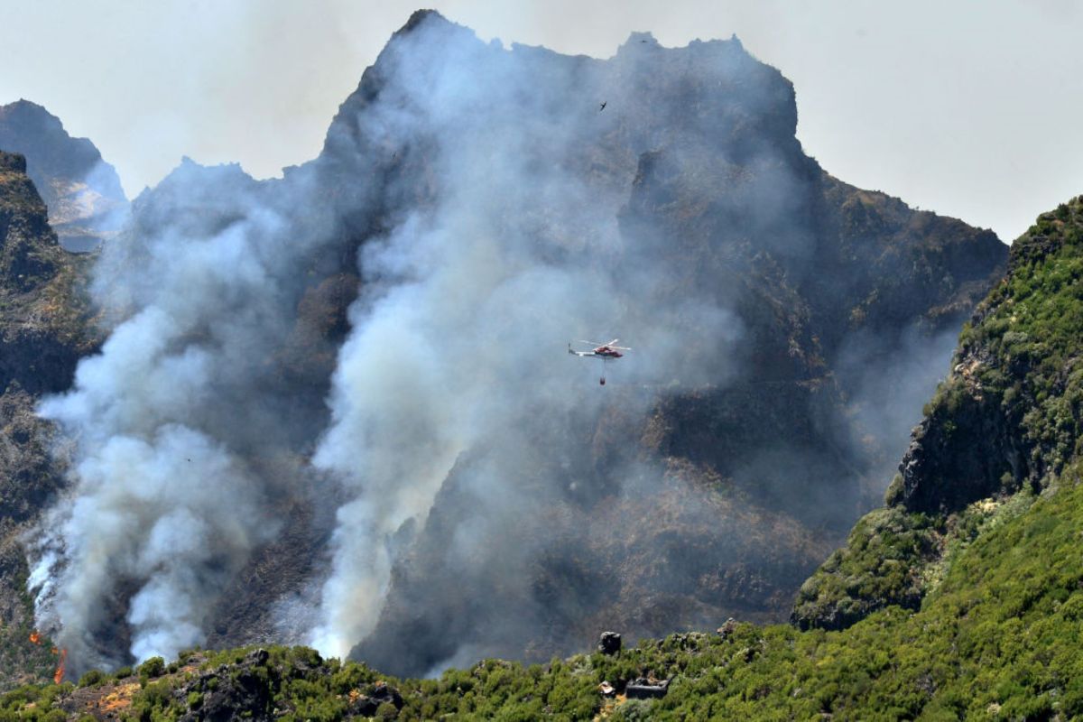 After nearly two weeks, authorities on the island said firefighters had finally brought the large forest fire under control.