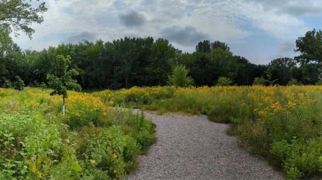 Much of the park was specifically restored and landscaped to include more native plants.