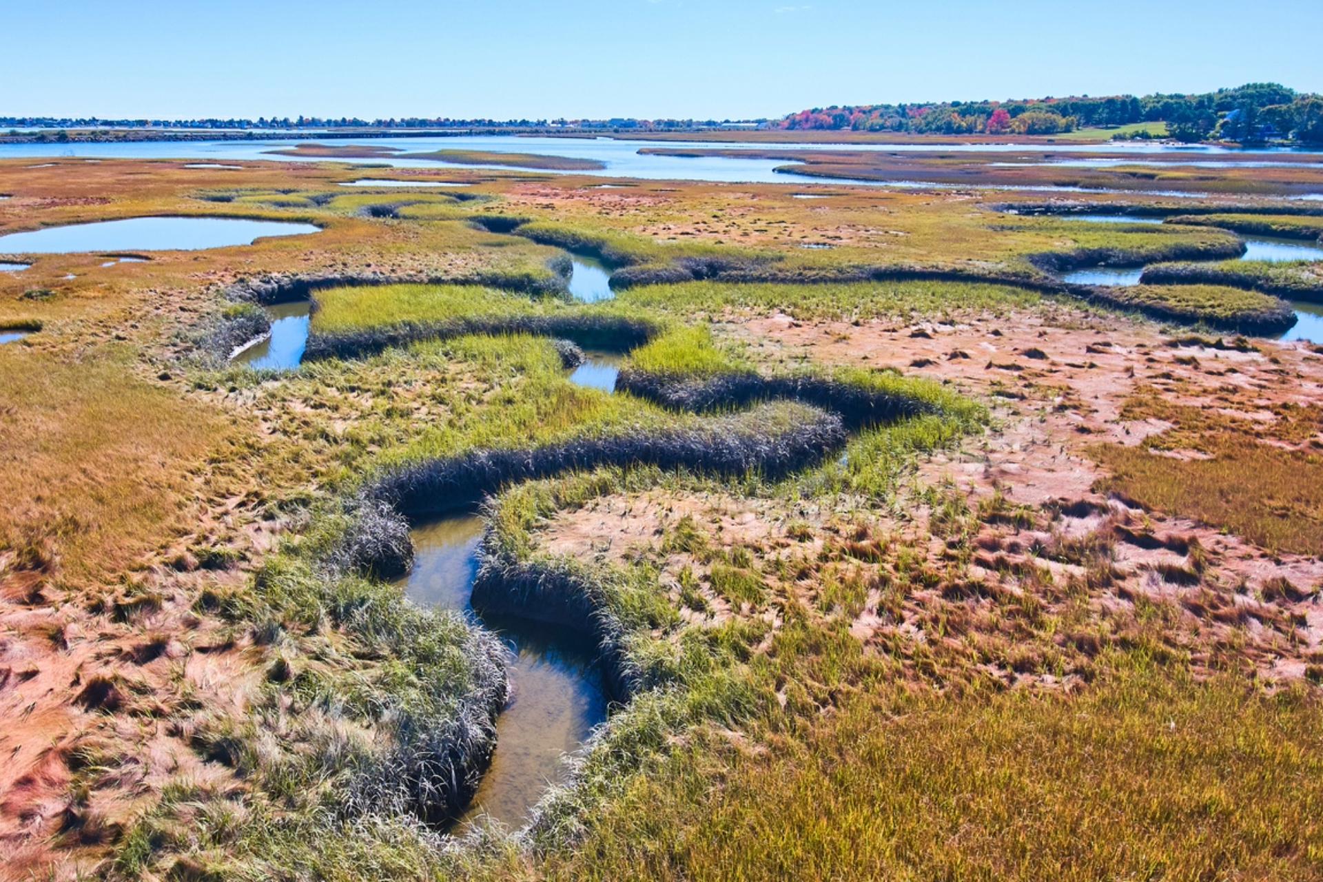 "The marsh is really integral to who we are as a community."