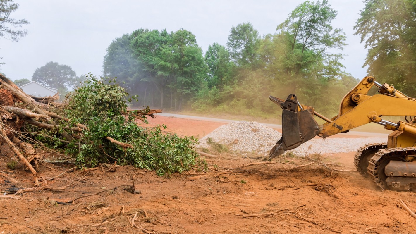 "I was horrified to see the damage on this property."