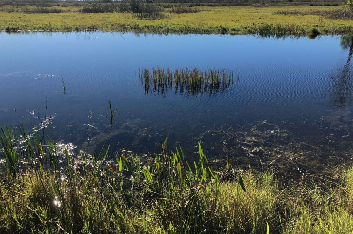 "It's because of these partnerships that ... we celebrate the new Willamette Valley Conservation Area."