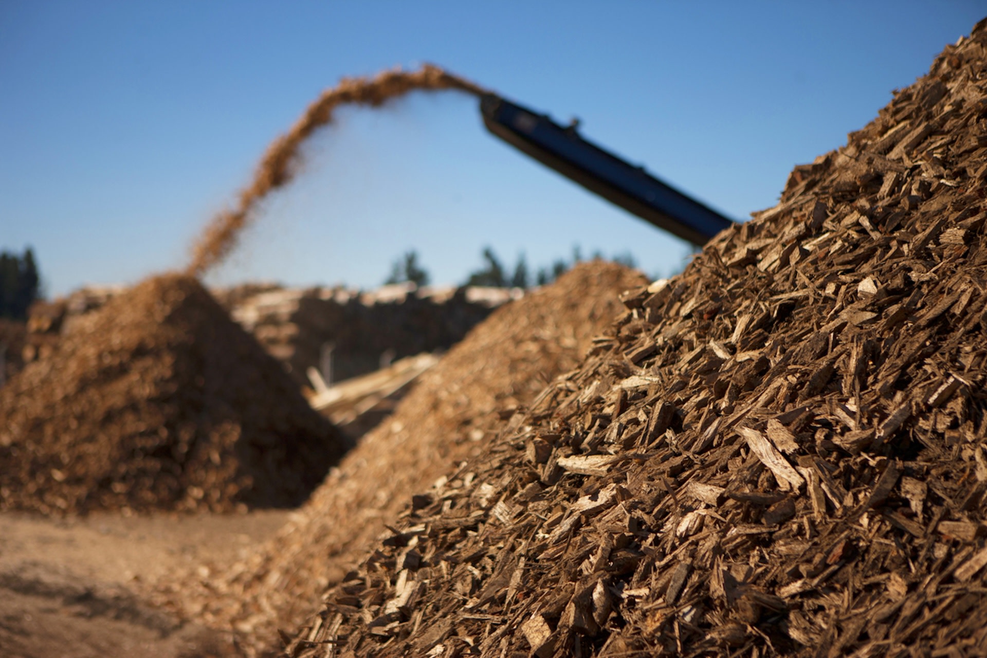 In addition to generating energy for Californians, the plant is intended to help reduce the risk of wildfires spreading.