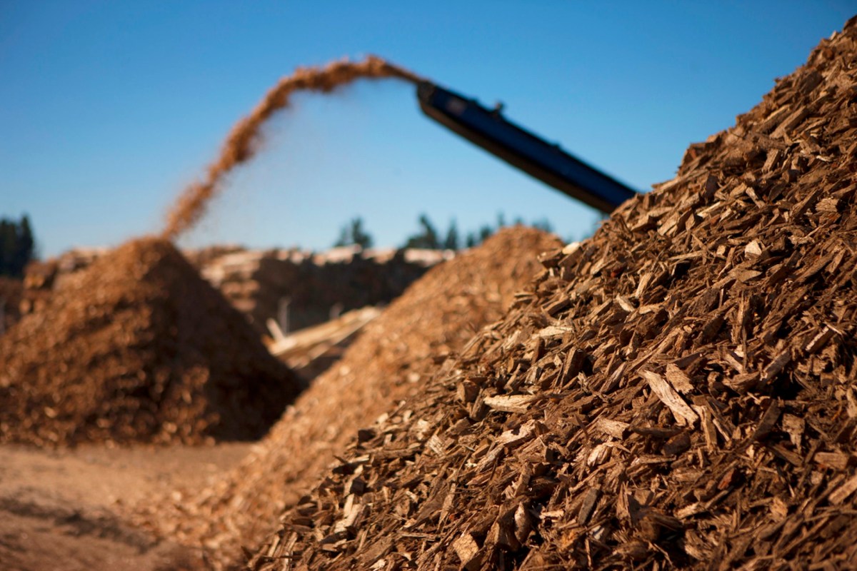 In addition to generating energy for Californians, the plant is intended to help reduce the risk of wildfires spreading.