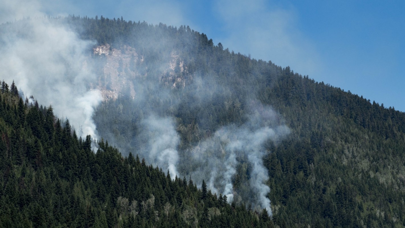 It could help manage forest fires and improve climate models.