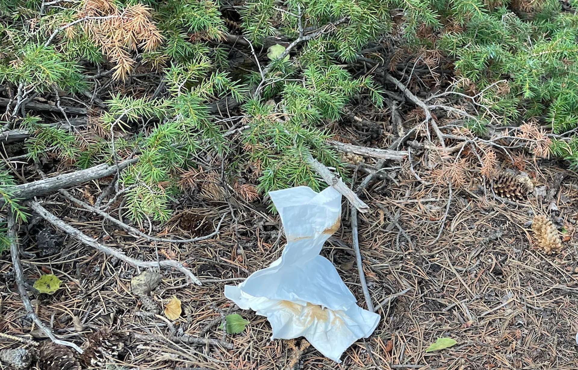 The amount of plastic found in national parks, campsites, and on trails is concerning, especially as plastic pollution disrupts our ecosystems and human health.