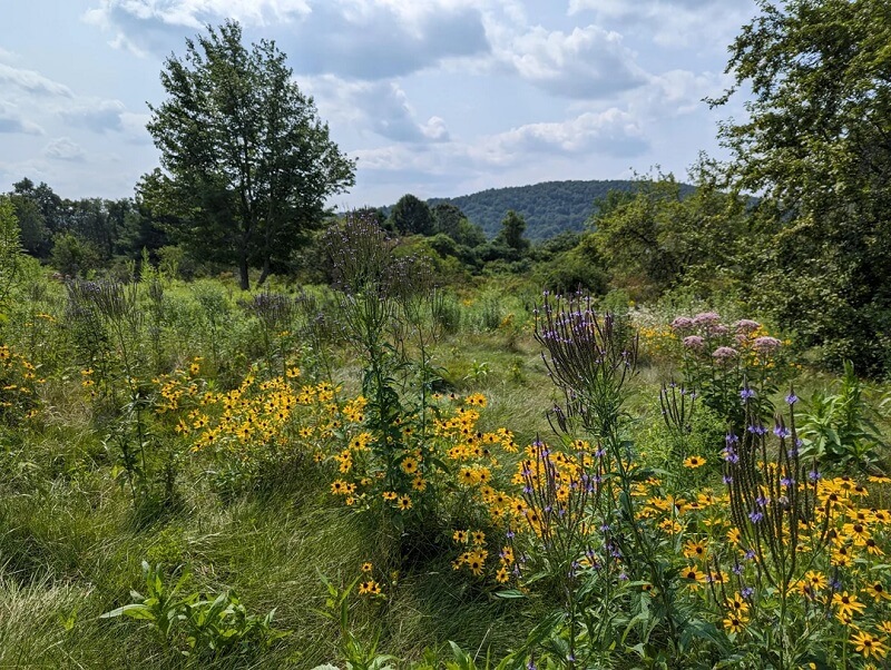 "If we could get all golf courses to do this, maybe I wouldn't hate golf courses so much."