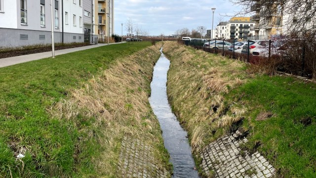 In this situation, putting in concrete on the creek banks would be an expensive eyesore and harmful to the environment.