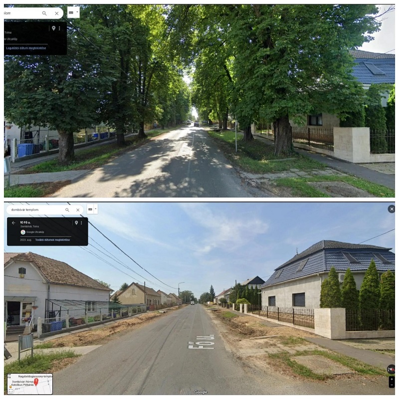 "I imagine practically speaking those trees provided lots of shade to the sidewalks and houses."