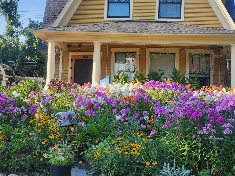 "The bees must love this house."