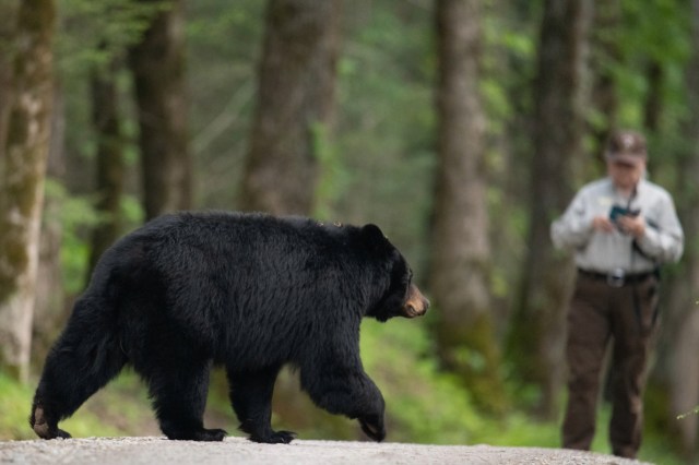 "Some people seem to think if they hold really still that the wildlife can't see them."