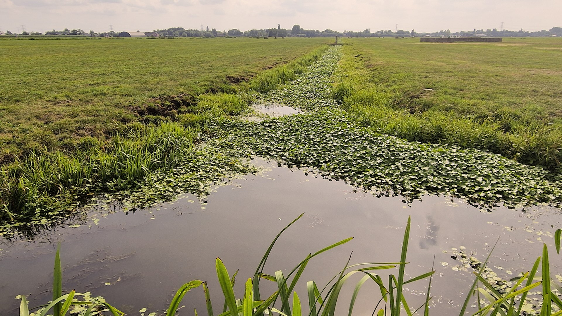 "It's the local people who make a real difference to their local waters."