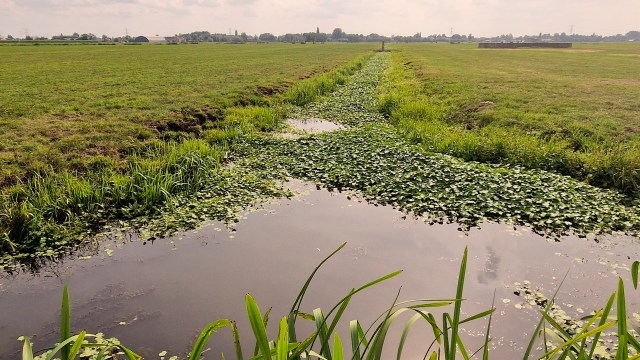 "It's the local people who make a real difference to their local waters."