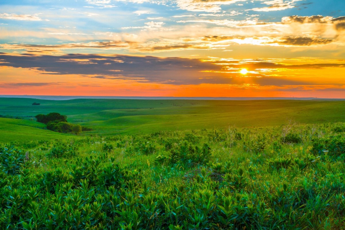 Projects like this one show that, although massive harm has already been done to many ecosystems by human activity it is not too late to save or restore parts of these ecosystems that have been lost.