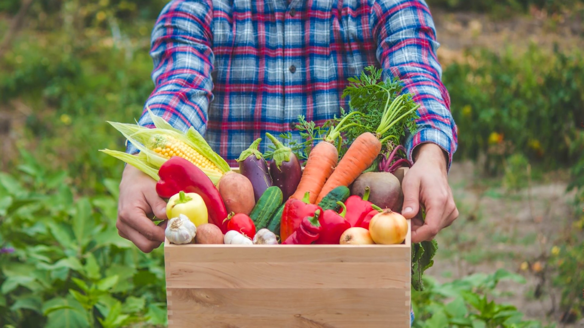 "Everyone should be growing herbs."