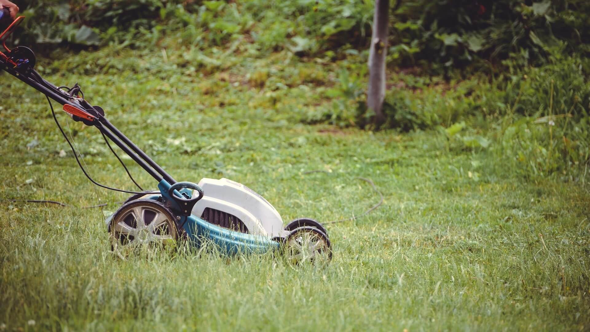 "He had to come at least 15 feet onto our property."