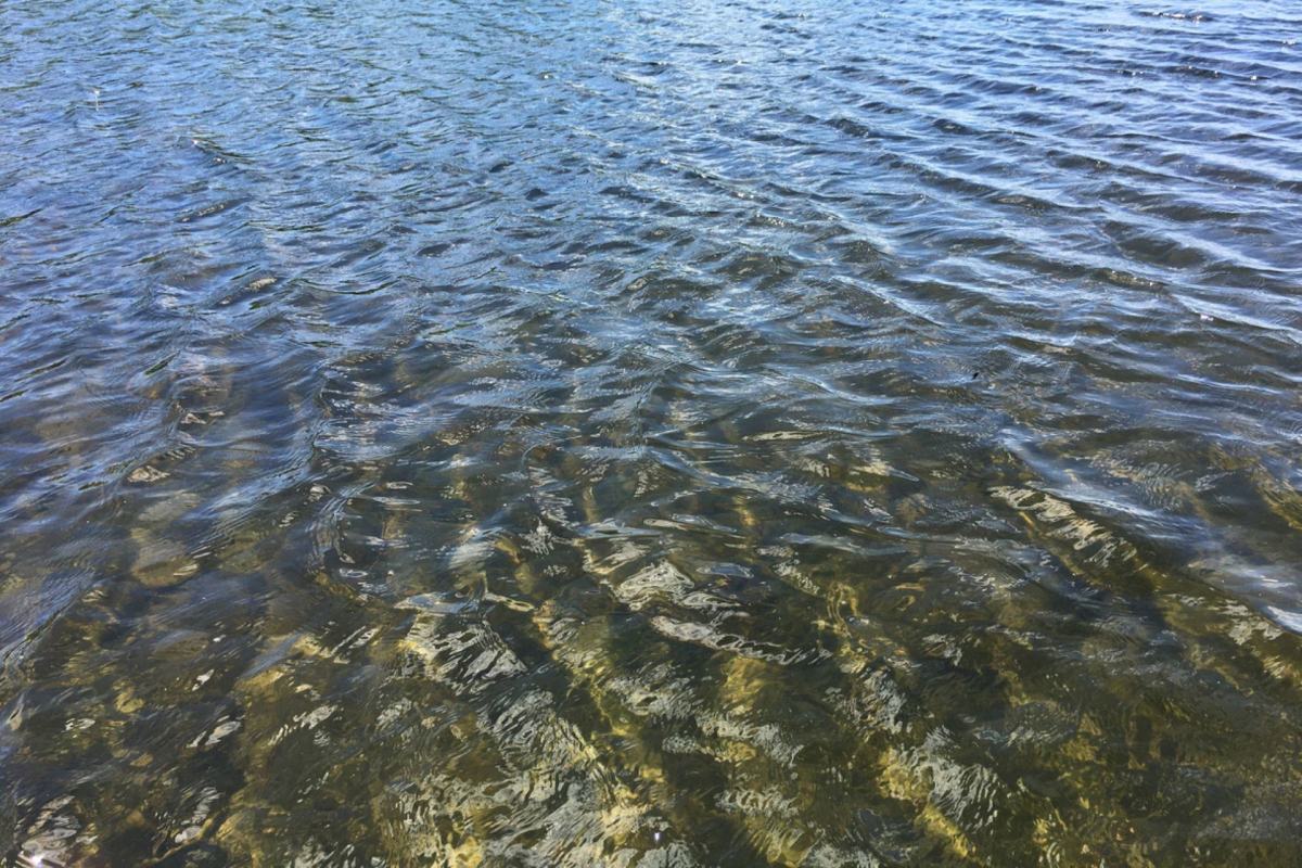 Just days prior to the sudden surge in precipitation in July, the lake reached its lowest point ever recorded.