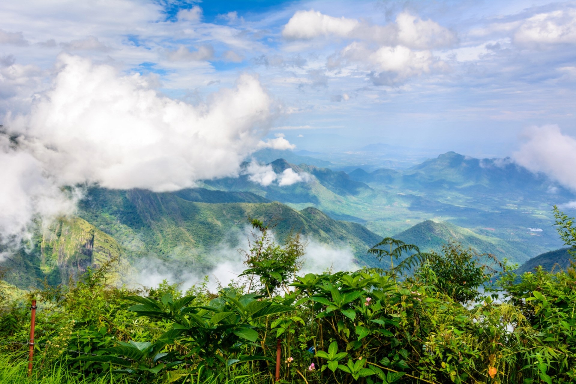 Discoveries like this are essential for the battle against biodiversity loss.