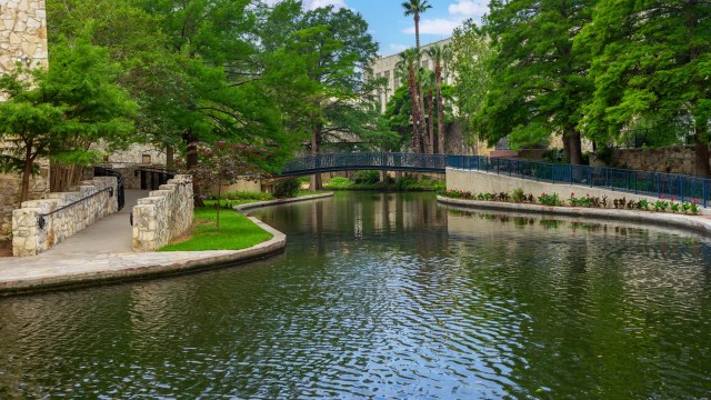 "Removing invasive species allows native fish to thrive, fostering a sustainable ecosystem for the benefit of both wildlife and local communities."