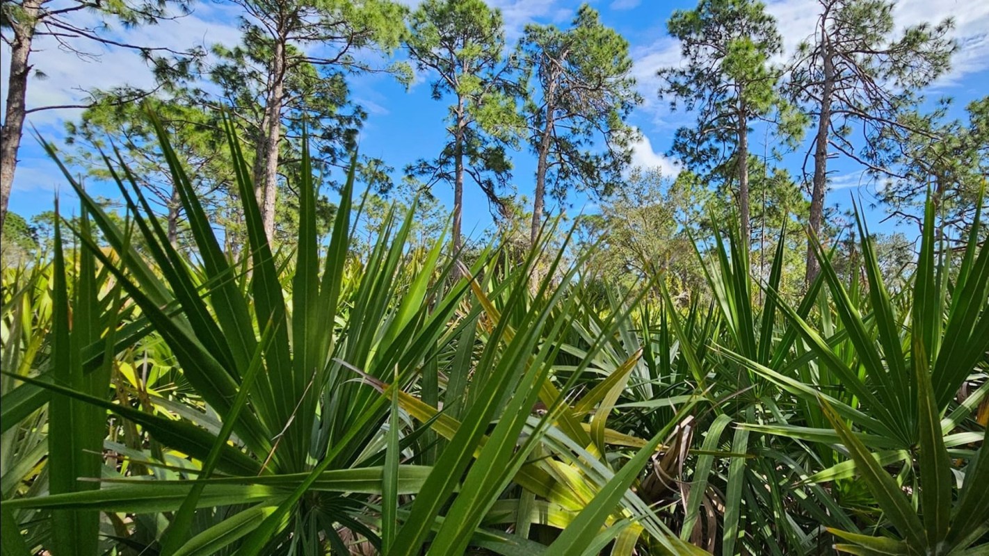 "In the long run, do we really want every single piece of acreage paved over?"