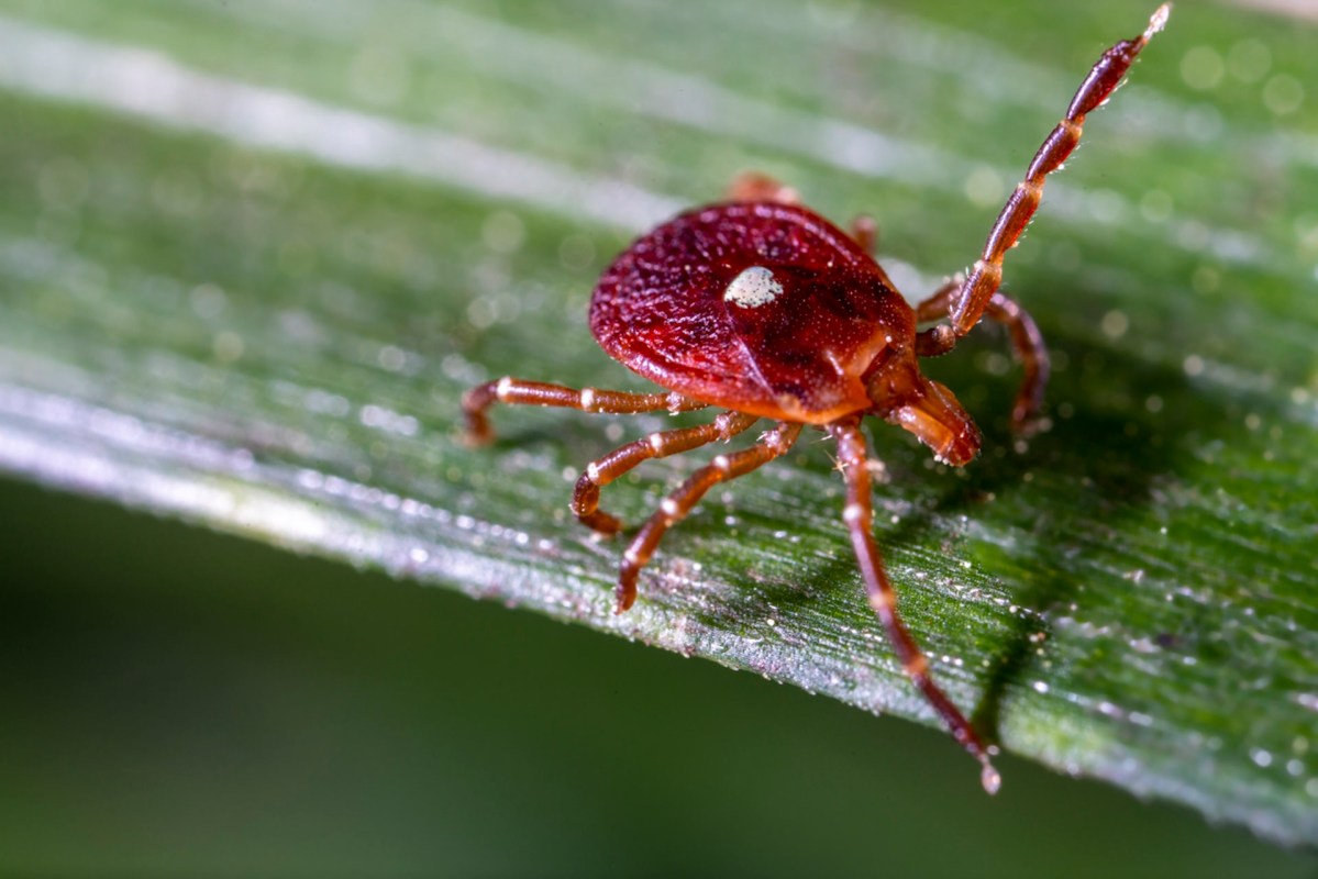 "We are taking the steps to understand it now so if an increasing human incidence were to happen, we know what can be done."