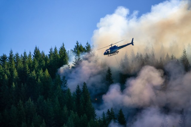 Thinking about wildfires can feel terrifying and out of our control.