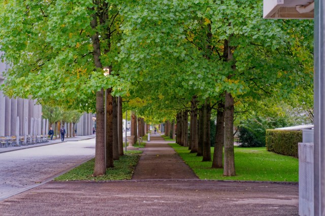 The new study highlights the importance of preserving informal green spaces alongside their formal counterparts.