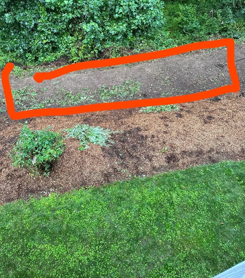 Not only is landscaping fabric largely ineffective, but it's actually harmful to the long-term health of your soil.