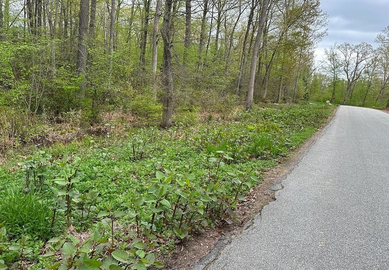 "We are excited to explore the other trees by applying similar technologies."