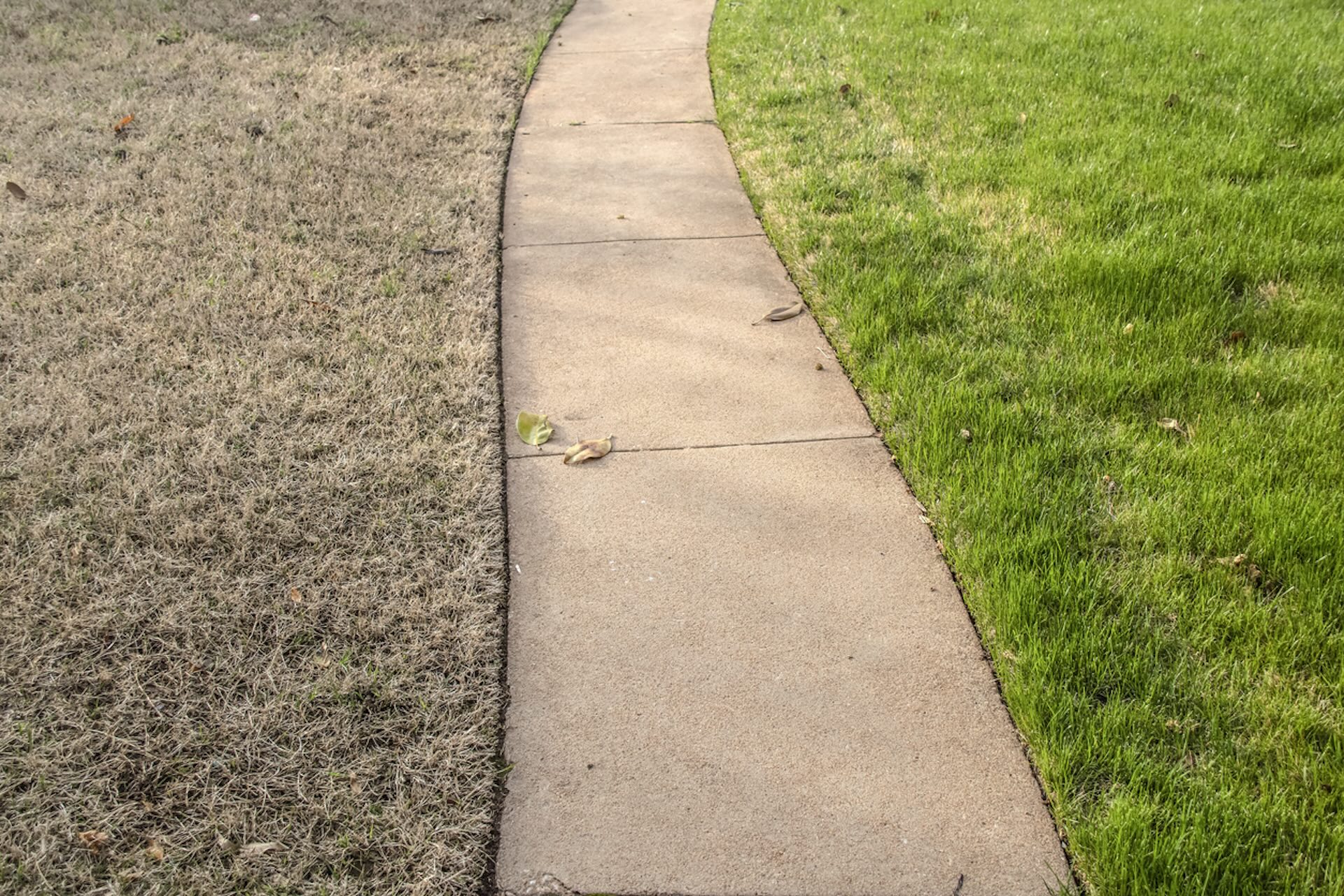 Many HOAs make unreasonable demands on homeowners to meet green lawn standards, often blocking helpful, eco-friendly changes.