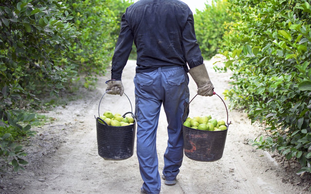 It's like throwing money — and potential jobs — straight into the compost bin.