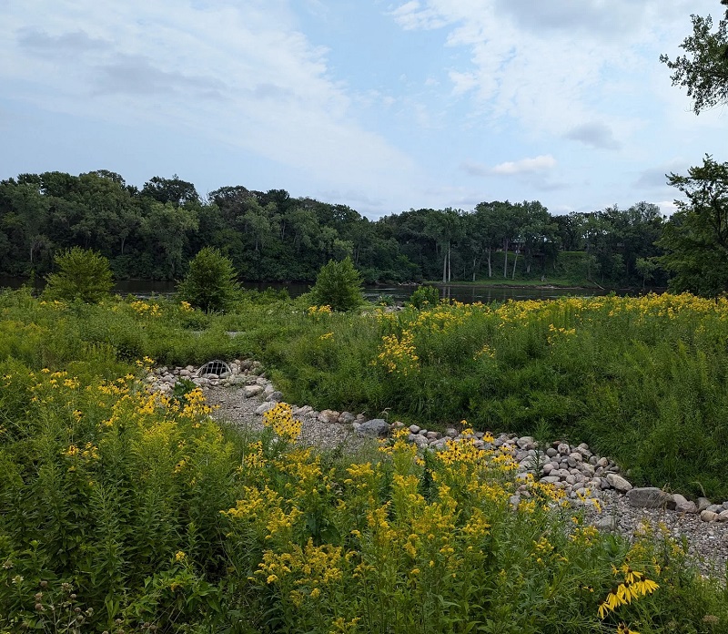 Much of the park was specifically restored and landscaped to include more native plants.