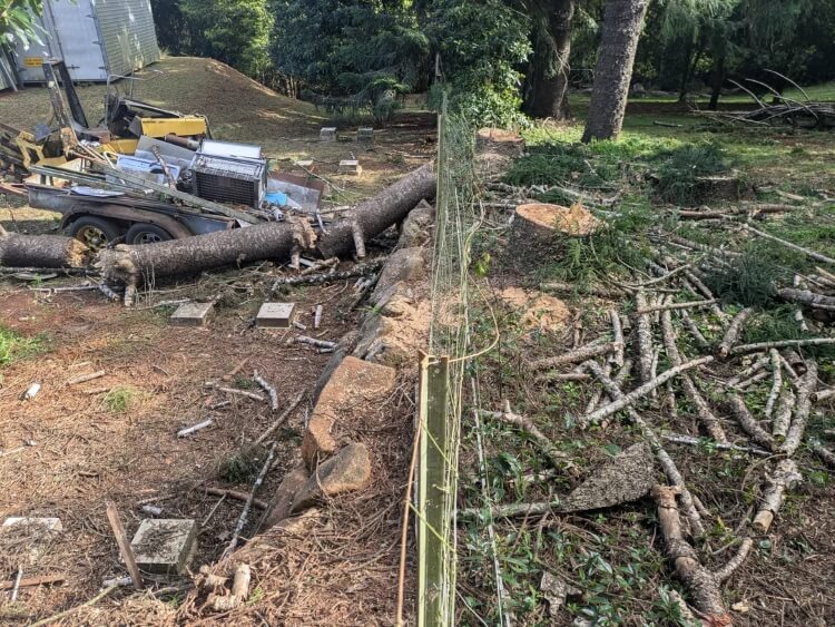 "An arborist did come out and inspect the dying trees and did say the retaining wall is likely the cause."