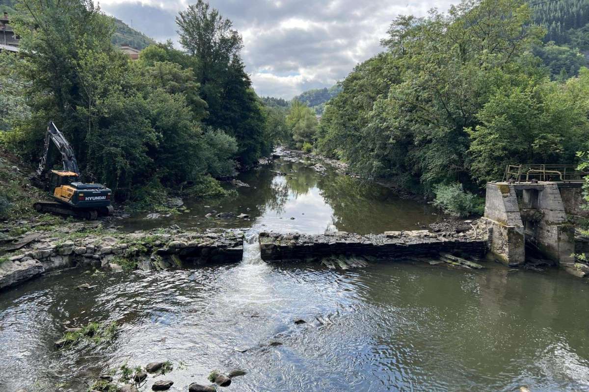 "From France to Finland, communities, companies and countries are investing in removing obsolete and increasingly risky barriers to improve river health for people and nature."