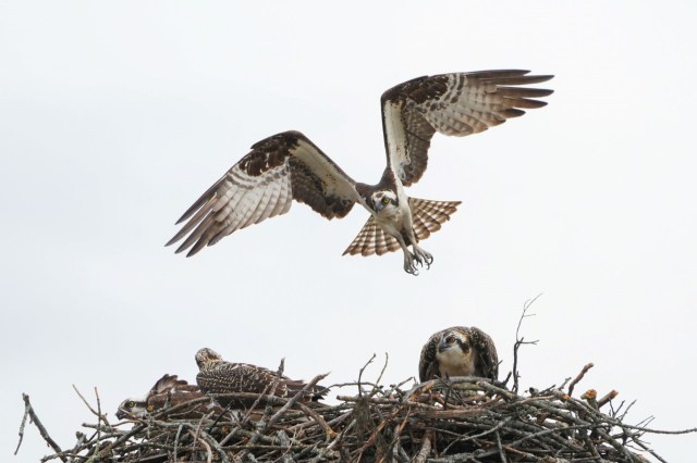 "You took your neighbor’s bird. You took my bird."